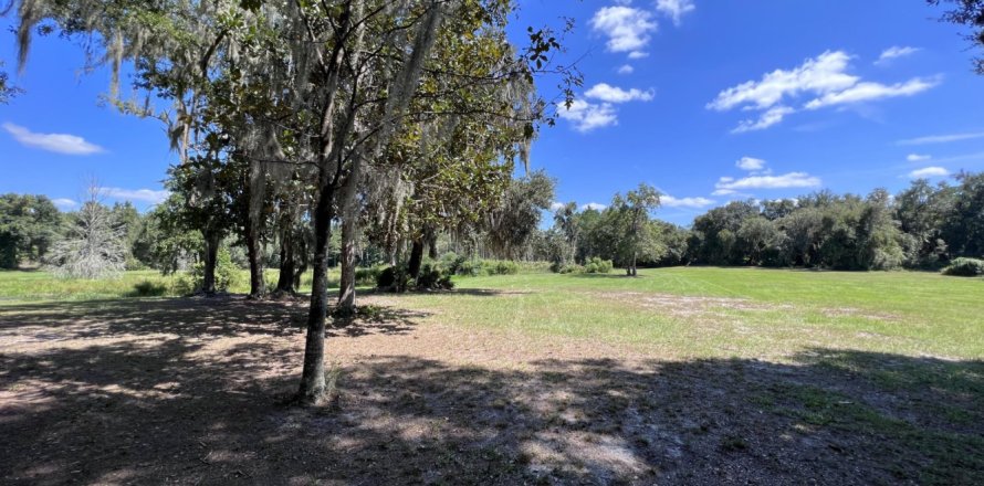 Land in Melrose, Florida № 765852