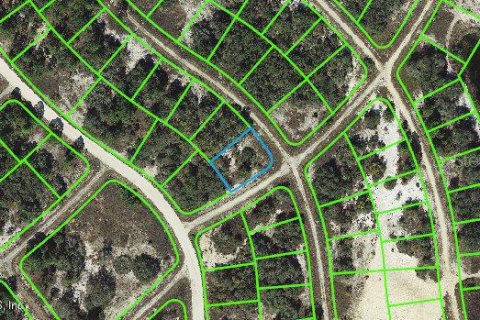 Land in Lake Placid, Florida № 2160486