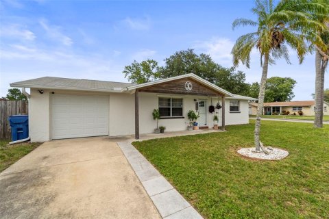 Villa ou maison à Holiday, Floride 2 chambres, 91.42 m2 № 2201673