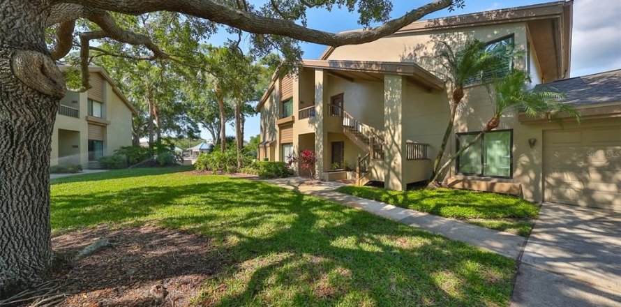 Condo à Palm Harbor, Floride, 3 chambres № 1904967