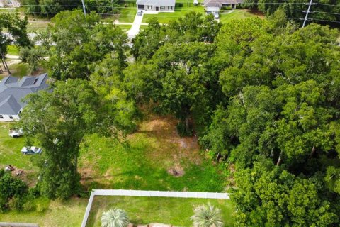 Villa ou maison à vendre à Ocala, Floride: 3 chambres, 182.18 m2 № 2227634 - photo 13