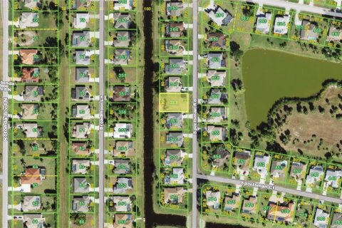 Land in Rotonda, Florida № 2383740 - photo 3