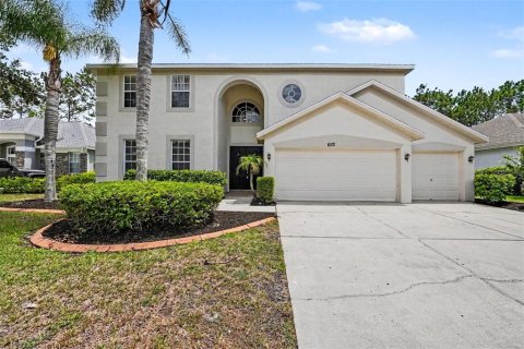 House in Lutz, Florida 5 bedrooms, 339.93 sq.m. № 2231491