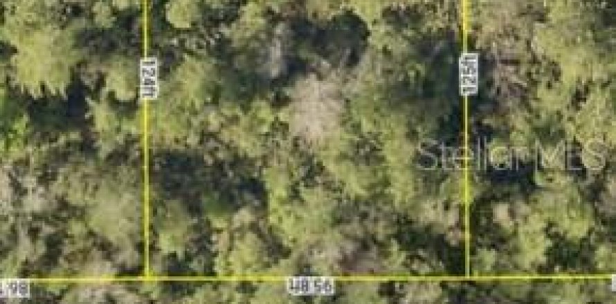 Land in DeLand, Florida № 2219194