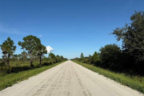 Land in LaBelle, Florida № 2159238 - photo 3