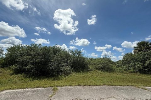 Land in LaBelle, Florida № 2159238
