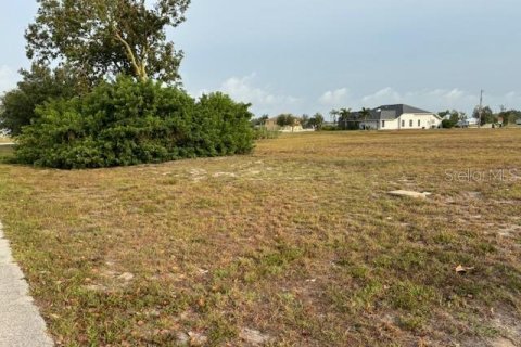 Land in Punta Gorda, Florida № 2158835 - photo 4