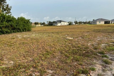 Land in Punta Gorda, Florida № 2158835 - photo 2