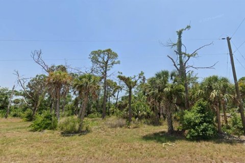 Terrain à vendre à Placida, Floride № 2220956 - photo 6
