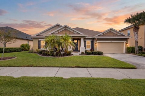 Casa en Wesley Chapel, Florida 4 dormitorios, 298.31 m2 № 2386013