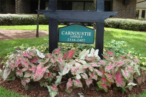 Condo in Palm Harbor, Florida, 1 bedroom  № 1558374 - photo 1