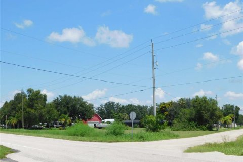 Land in Arcadia, Florida № 1823175 - photo 16