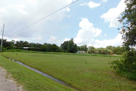 Land in Arcadia, Florida № 1823175 - photo 2