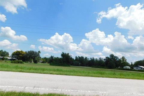 Land in Arcadia, Florida № 1823175 - photo 12