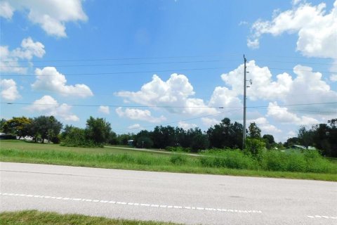 Land in Arcadia, Florida № 1823175 - photo 13