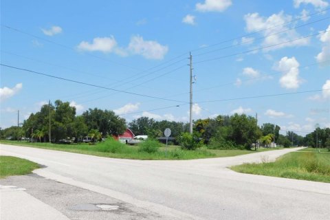 Land in Arcadia, Florida № 1823175 - photo 15