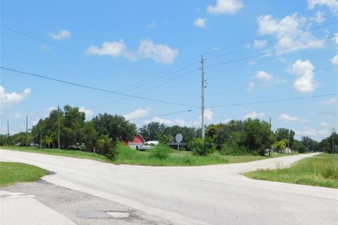 Land in Arcadia, Florida № 1823175 - photo 14