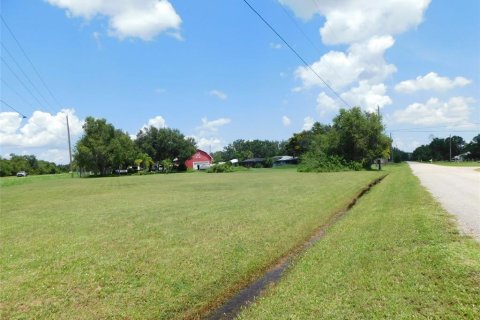 Land in Arcadia, Florida № 1823175 - photo 7