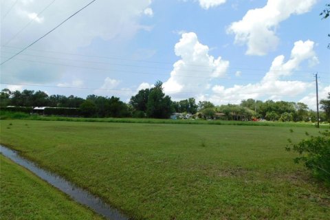Land in Arcadia, Florida № 1823175 - photo 3