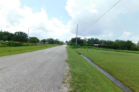 Land in Arcadia, Florida № 1823175 - photo 4