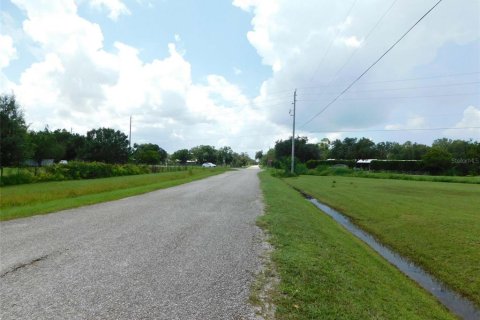 Land in Arcadia, Florida № 1823175 - photo 5