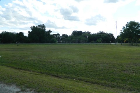 Land in Arcadia, Florida № 1823175 - photo 1