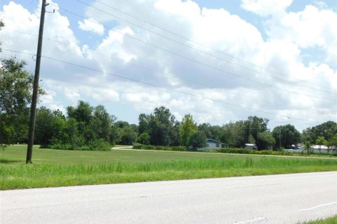 Land in Arcadia, Florida № 1823175 - photo 8