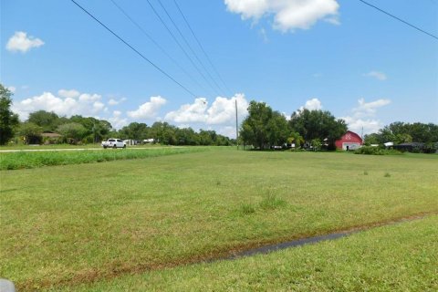 Land in Arcadia, Florida № 1823175 - photo 6