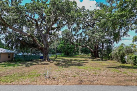 Land in Fort Meade, Florida № 1681398 - photo 2
