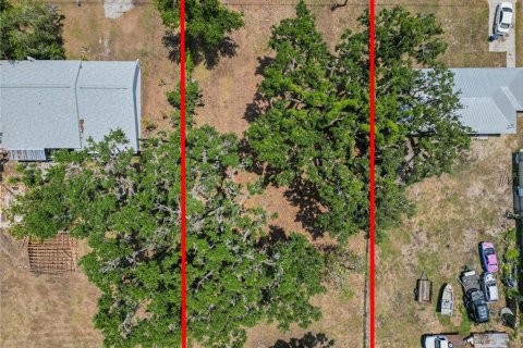 Land in Fort Meade, Florida № 1681398 - photo 8