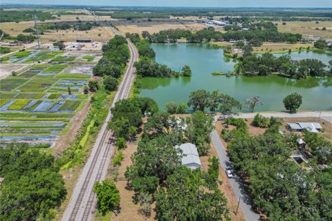 Land in Fort Meade, Florida № 1681398 - photo 15