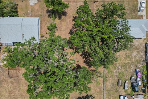 Land in Fort Meade, Florida № 1681398 - photo 9