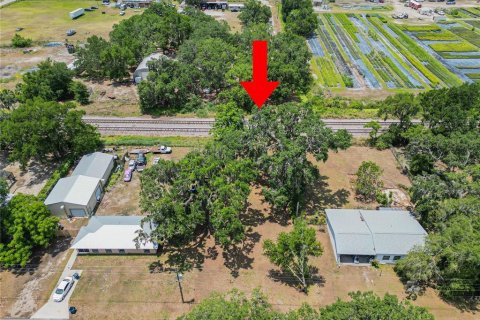 Land in Fort Meade, Florida № 1681398 - photo 3