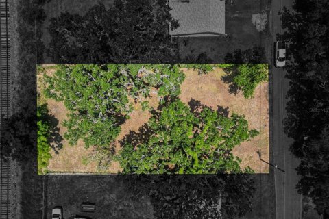 Land in Fort Meade, Florida № 1681398 - photo 5