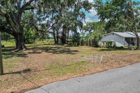 Land in Fort Meade, Florida № 1681398 - photo 16