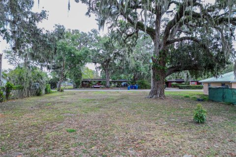 Land in Fort Meade, Florida № 1681398 - photo 1