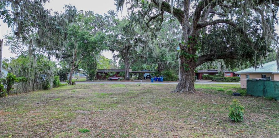 Land in Fort Meade, Florida № 1681398