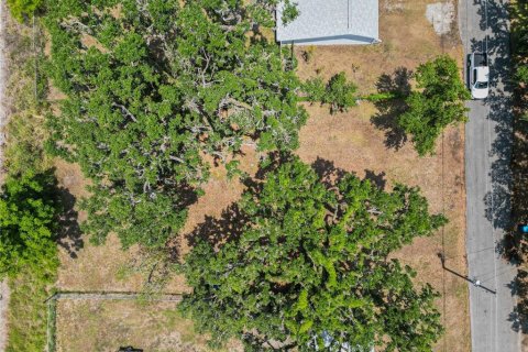 Land in Fort Meade, Florida № 1681398 - photo 7