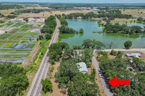Land in Fort Meade, Florida № 1681398 - photo 14