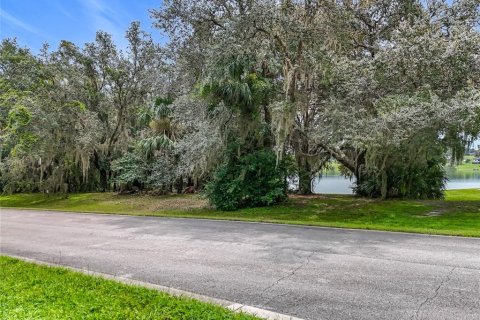 Terreno en venta en Eustis, Florida № 1906179 - foto 3