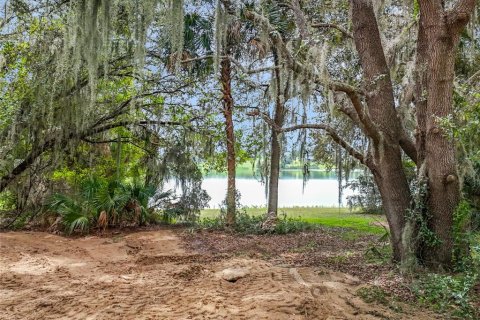 Terreno en venta en Eustis, Florida № 1906179 - foto 1