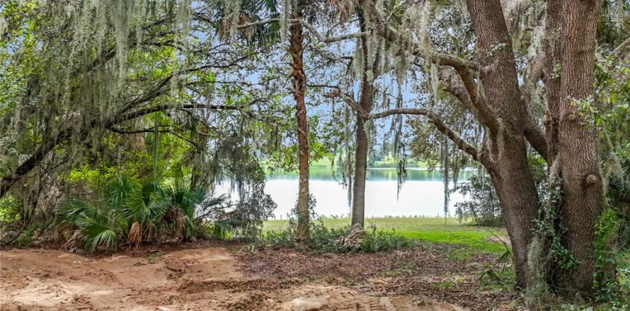 Terreno en Eustis, Florida № 1906179