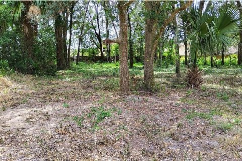 Land in Mount Plymouth, Florida № 1916111 - photo 1