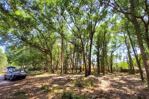 Land in Mount Plymouth, Florida № 1916111 - photo 10