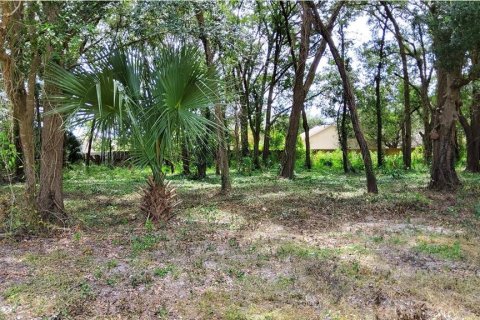 Land in Mount Plymouth, Florida № 1916111 - photo 2