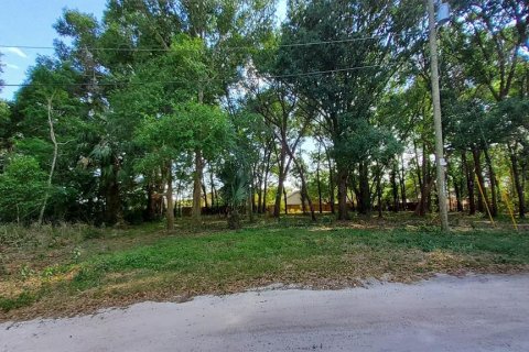Land in Mount Plymouth, Florida № 1916111 - photo 3
