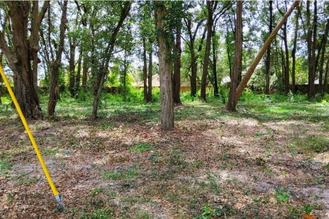 Land in Mount Plymouth, Florida № 1916111 - photo 4