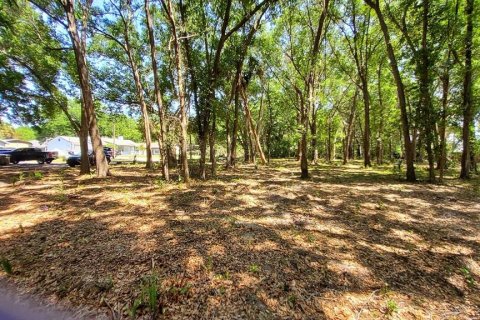 Land in Mount Plymouth, Florida № 1916111 - photo 8