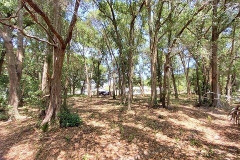 Land in Mount Plymouth, Florida № 1916111 - photo 6