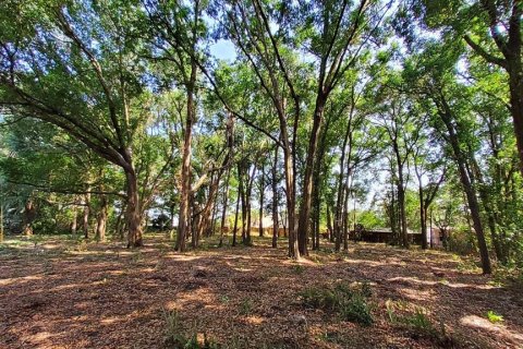 Land in Mount Plymouth, Florida № 1916111 - photo 5